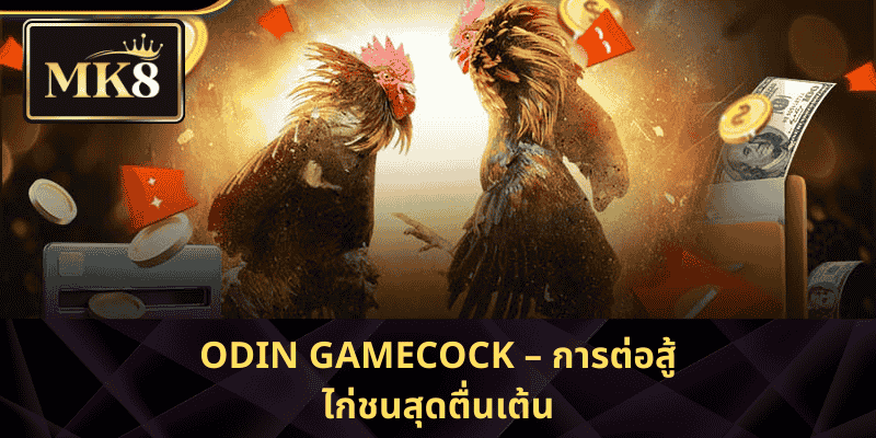 Odin Gamecock – การต่อสู้ไก่ชนสุดตื่นเต้น
