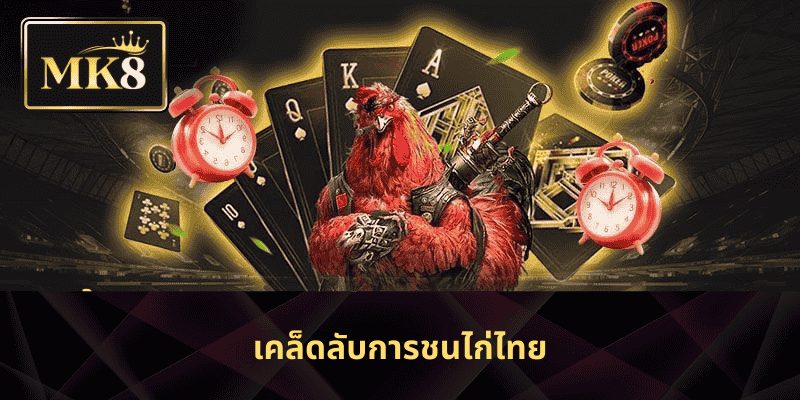 เคล็ดลับการชนไก่ไทย